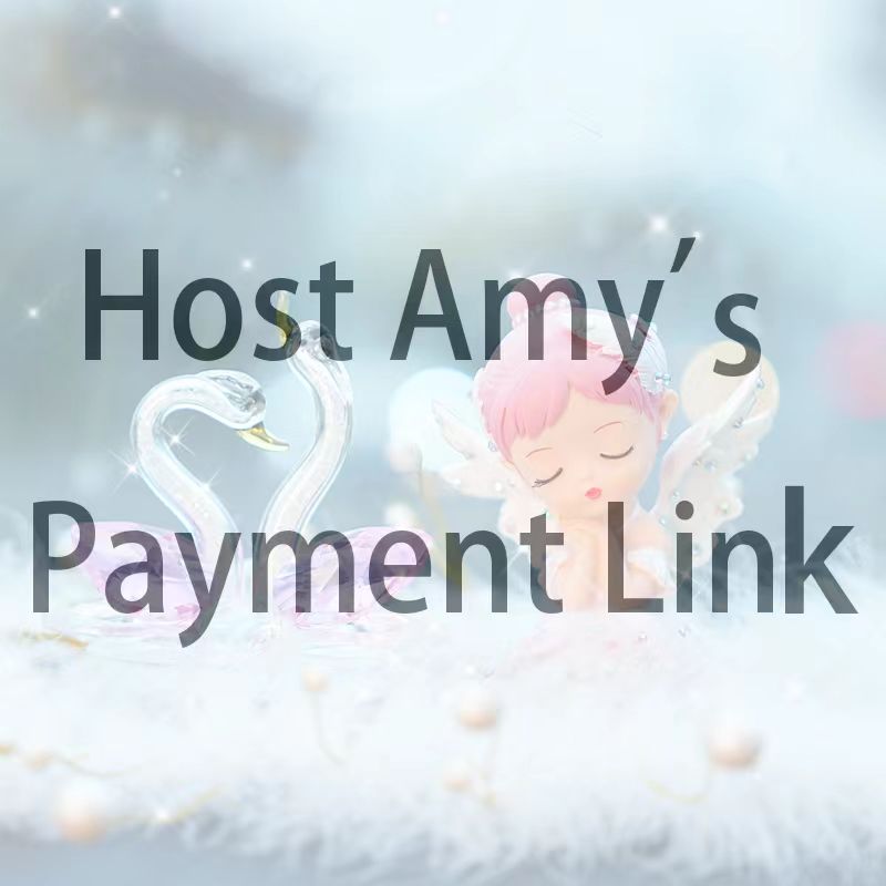 host Amy's payment link